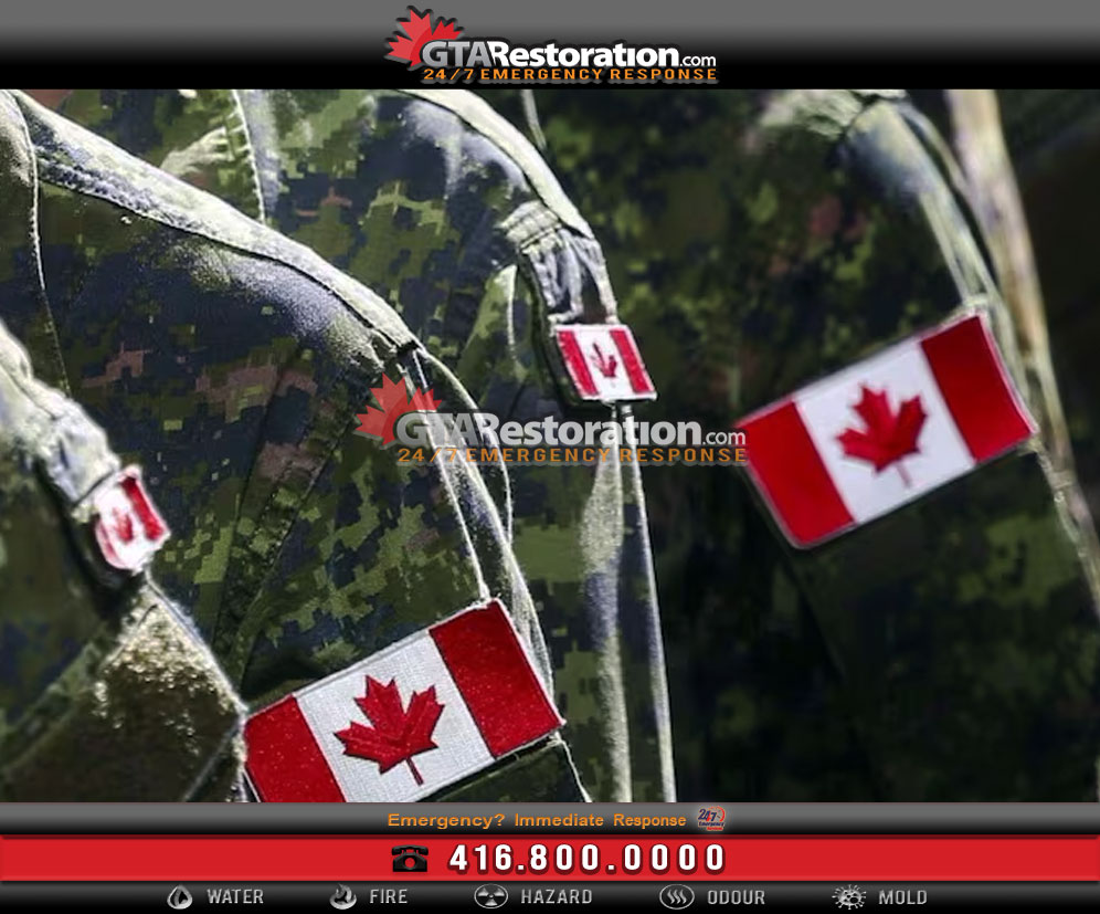 Veterans restoration careers