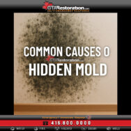 Text overlay on moldy wall reading 'Common Causes of Hidden Mold, Basement wall with mold stains – sign of hidden mold