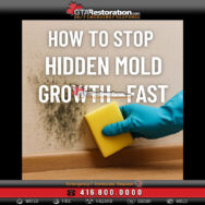 Gloved hand cleaning mold from a wall with sponge, Basement wall with mold stains – sign of hidden mold