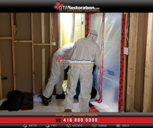Biohazard Cleanup And Bio Hazard Remediation Process