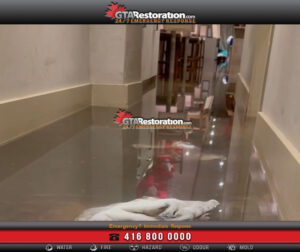 Emergency Restoration Services in Toronto: Your Complete Guide