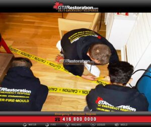GTA Restoration Team Biohazard Prices