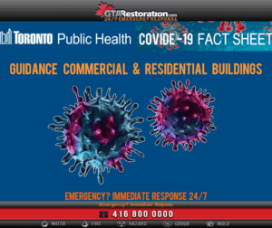 Viruses Sanitizing Disinfection Service