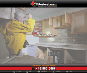Mold removal & remediation services in cumberland