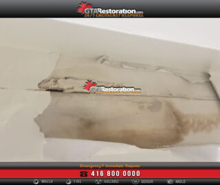 Mold Removal Cambridge