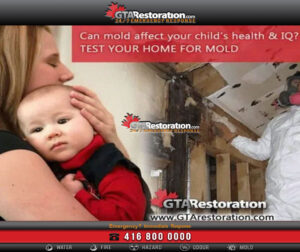 Protect Your Family Home Mold Testing Can Give You Peace Of Mind
