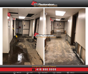 Restoration Service