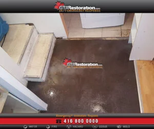 Emergency Flood Cleanup 