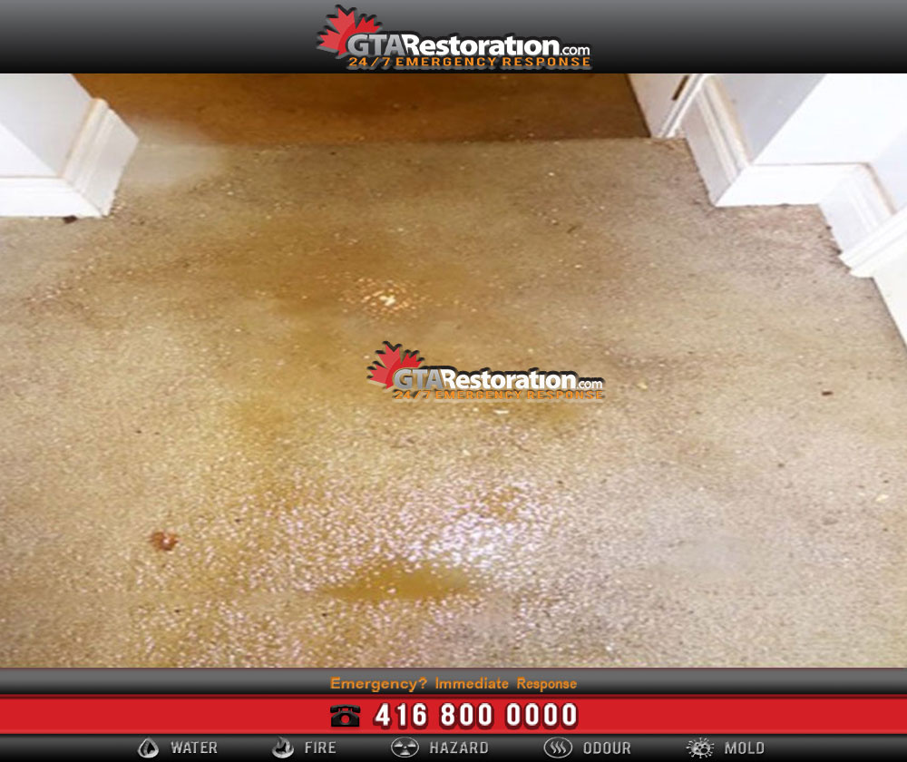 Carpet Water Damage in a Toronto Home Basement