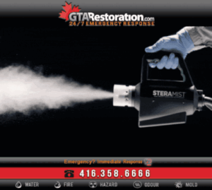 Cordless Electrostatic Handheld Sprayer By Victory, What is the Acceptable Level for Indoor Mold Spores Testing Result – Guide for mold count levels: acceptable and unacceptable?