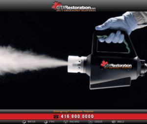 Cordless Electrostatic Handheld Sprayer By Victory GTA Restoration