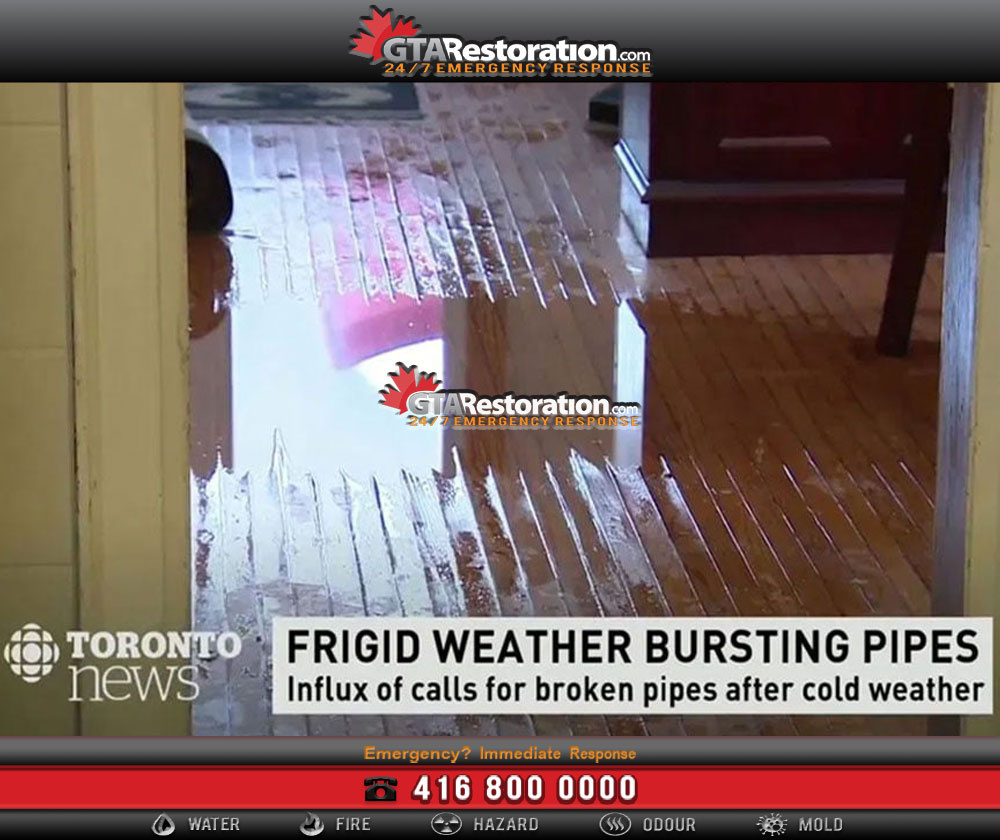 Top 5 Best Water Damage Service Providers in Toronto!