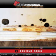 An advertisement for gta restoration featuring an image of a wall with visible mold damage along the baseboard, including contact information for emergency mold removal service.