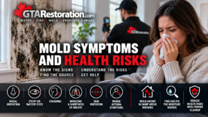 Mold Symptoms And Health Risks