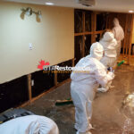Technician checking wall moisture