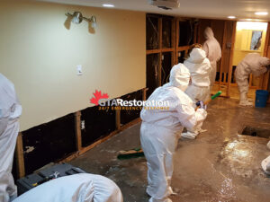 Basement Sewage Backup Cleanup