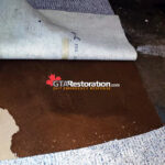 Carpet Flood Restoration Service