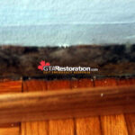 Mold inspection of water-damaged drywall