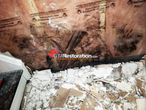 Mold Removal Red Deer