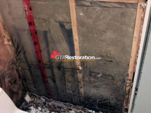 Mold Behind Washroom Drywall 