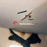 Contained mold remediation work area