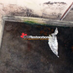 Mold-damaged drywall before removal