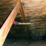 Mold Roof Attic