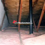 Mold Roof Insulation Attic
