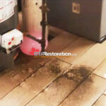 Protective gloves and cleanup equipment