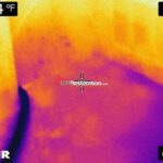 GTA Restoration Leak Detection