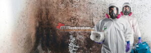 Mold inspection, testing & mold removal ajax, cumberland