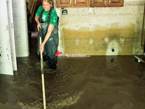 Sewage Cleanup Edmonton