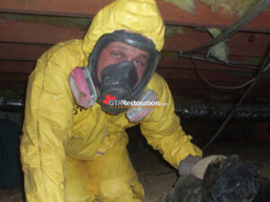 Sewer Backup Cleanup