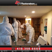 Workers in protective suits perform Mold Removal in a basement with visible mold and water damage. Emergency contact information is displayed at the bottom.