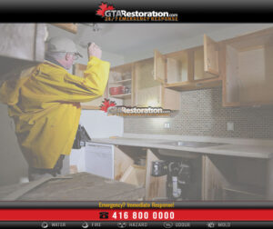 Mold Removal & Remediation In Rockcliffe Park
