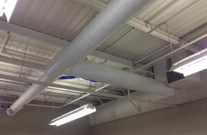 Mold Removal Edmonton