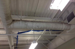 Mold Removal Before