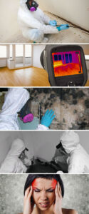 5 Ways To Avoid Mold In Toronto: A Homeowner'S Guide