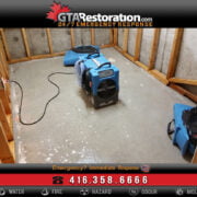 Two blue air movers working in a flood-damaged basement room with exposed insulation and wooden studs. Contact details and emergency response icons for a mold removal and flood restoration company displayed.