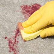 Carpet Blood Cleanup