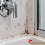 Mould growth along shower grout and glass door seals