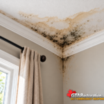 Ceiling mould and water stains above a window