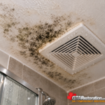 Mould growth around a bathroom ceiling exhaust vent