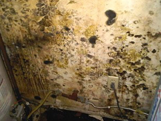 Restoration Pictures Photo Gallery Images