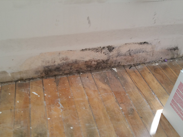 Restoration Pictures Photo Gallery Images