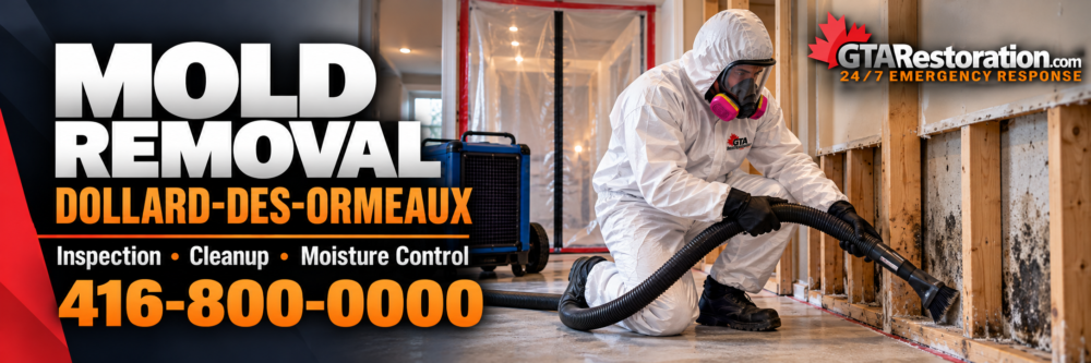 Illustrated banner for mold in Dollard-des-Ormeaux showing a protected worker vacuuming exposed wall framing.