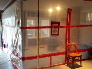 mississauga mold Removal remediation