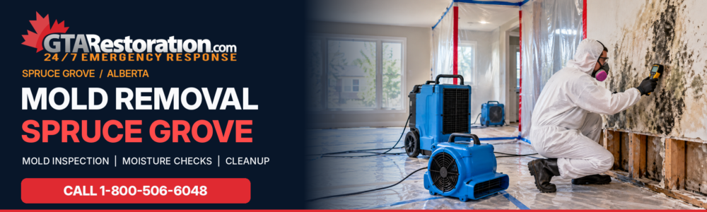 Mold Removal Spruce Grove inspection and cleanup of mould-damaged building materials