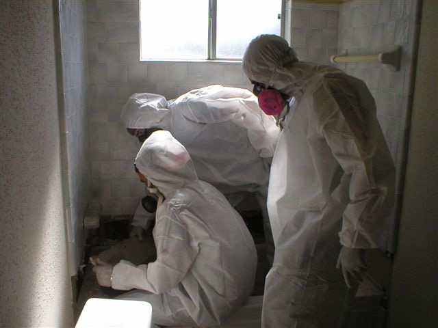 Restoration Pictures Photo Gallery Images