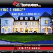 REAL ESTATE TORONTO: Mold and Moisture Detection home inspection